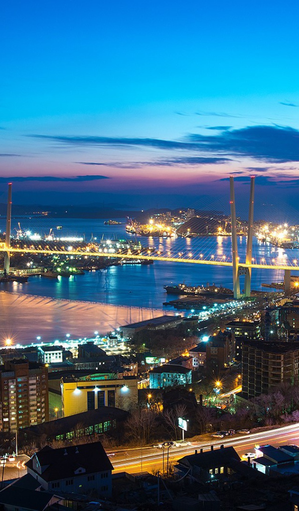 Ночь в городе Владивосток