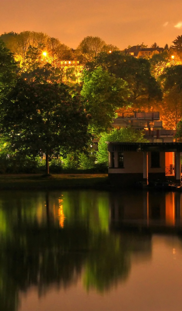 Ночное освещение в городском парке