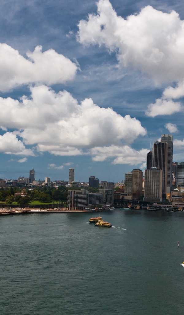 Панорама залива в Сиднее