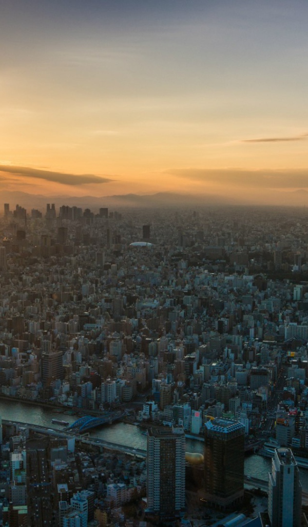 Панорама огромного Токио
