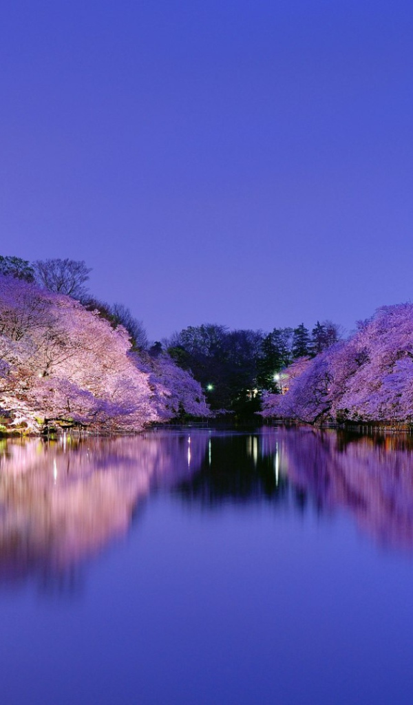 Парк в Осаке, Япония
