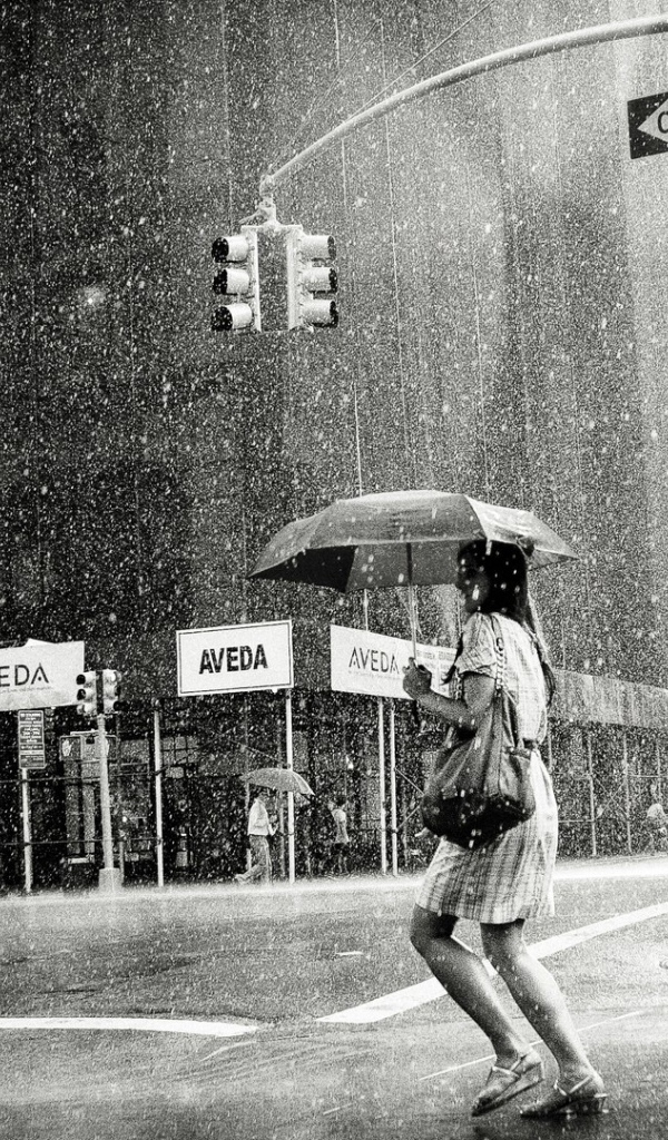 Дождь на 5-й Авеню. Нью-Йорк