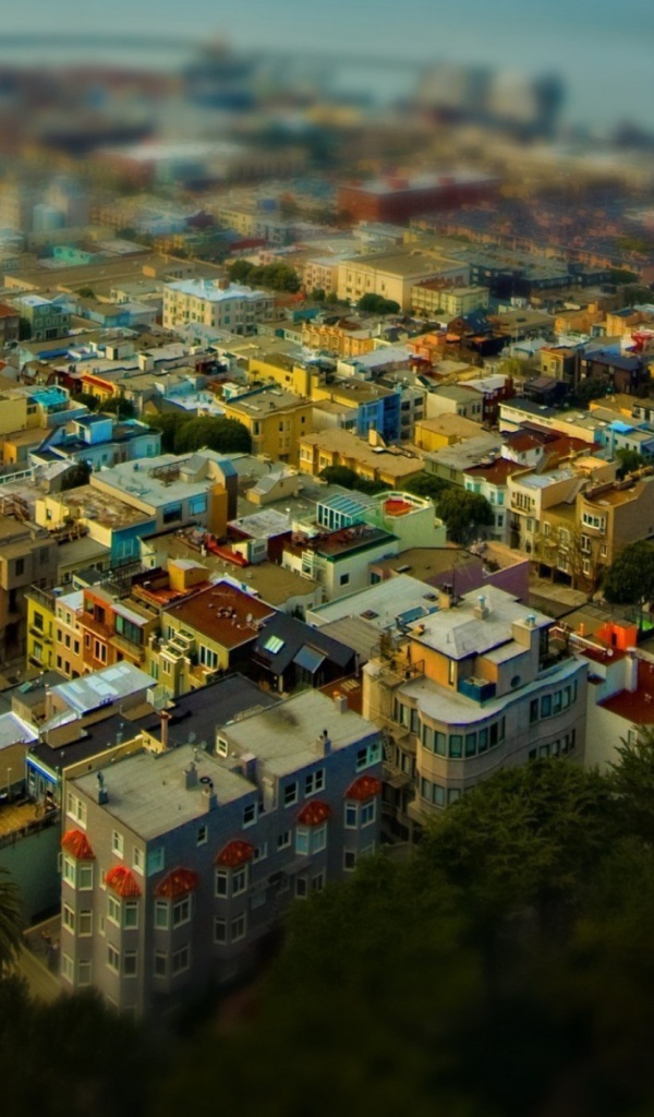 Жилые кварталы Сан-Франциско