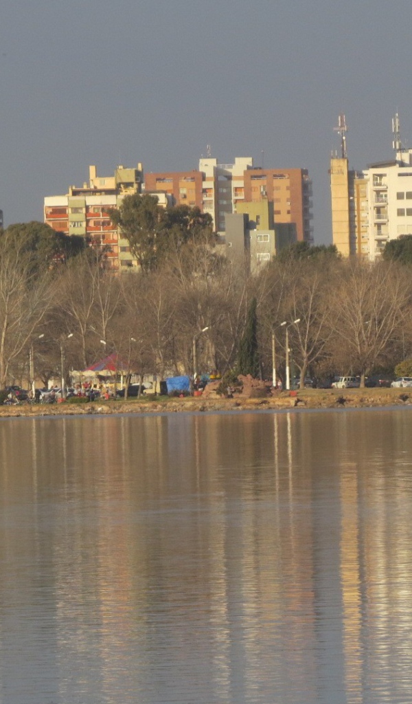 Жилые здания на берегу городского пруда