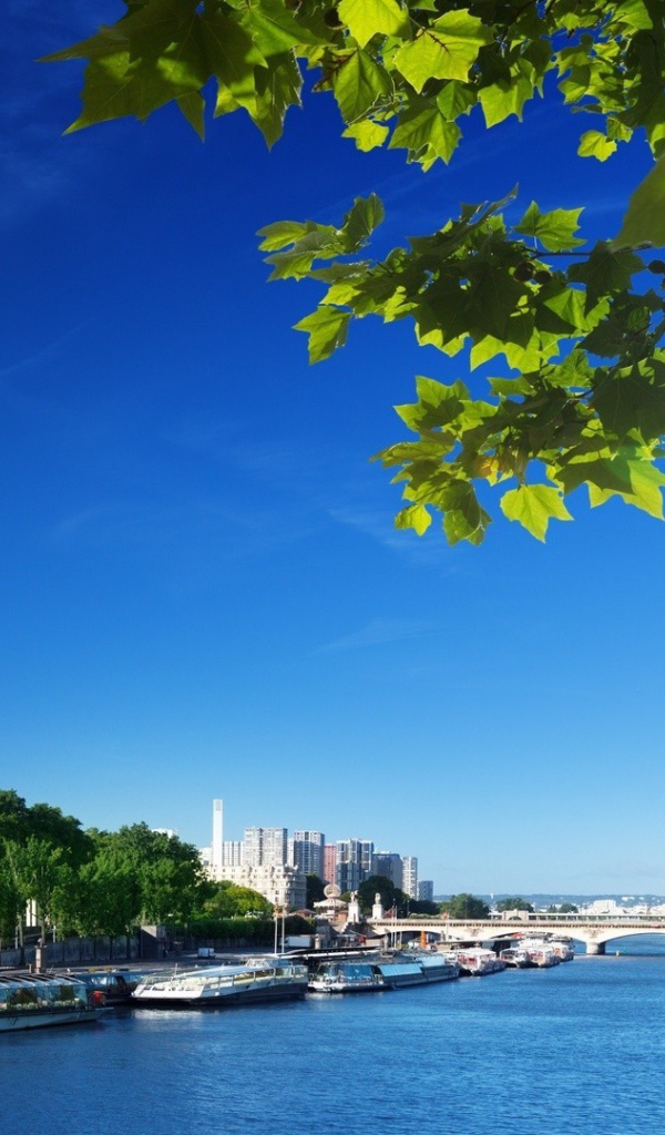 Река в Париже весной