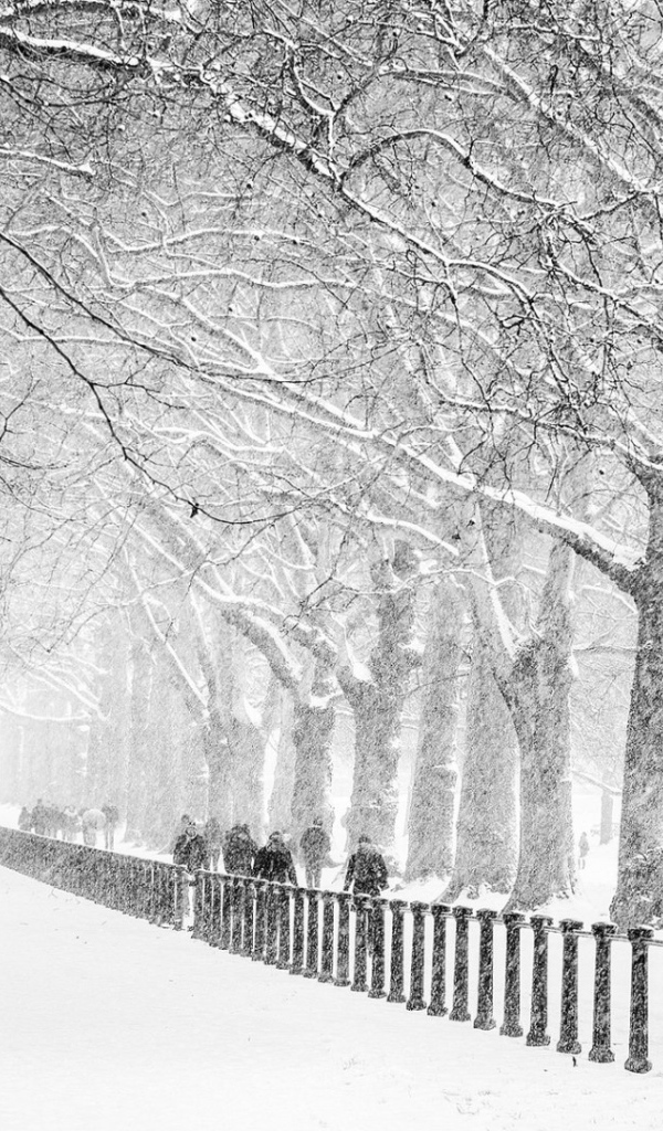 Сент-Джеймс Парк, Лондон