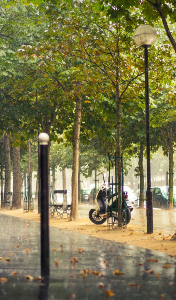 Улица Парижа во время дождя