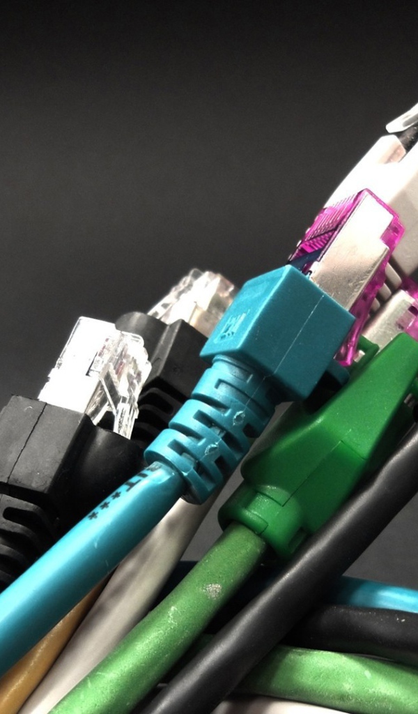 Букет компьютерных тюльпанов