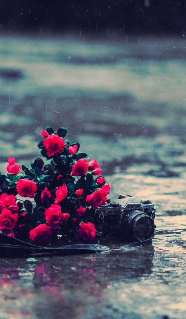 Букет цветов и фотоаппарат под дождем
