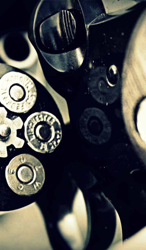 Полный комплект пуль в револьвере