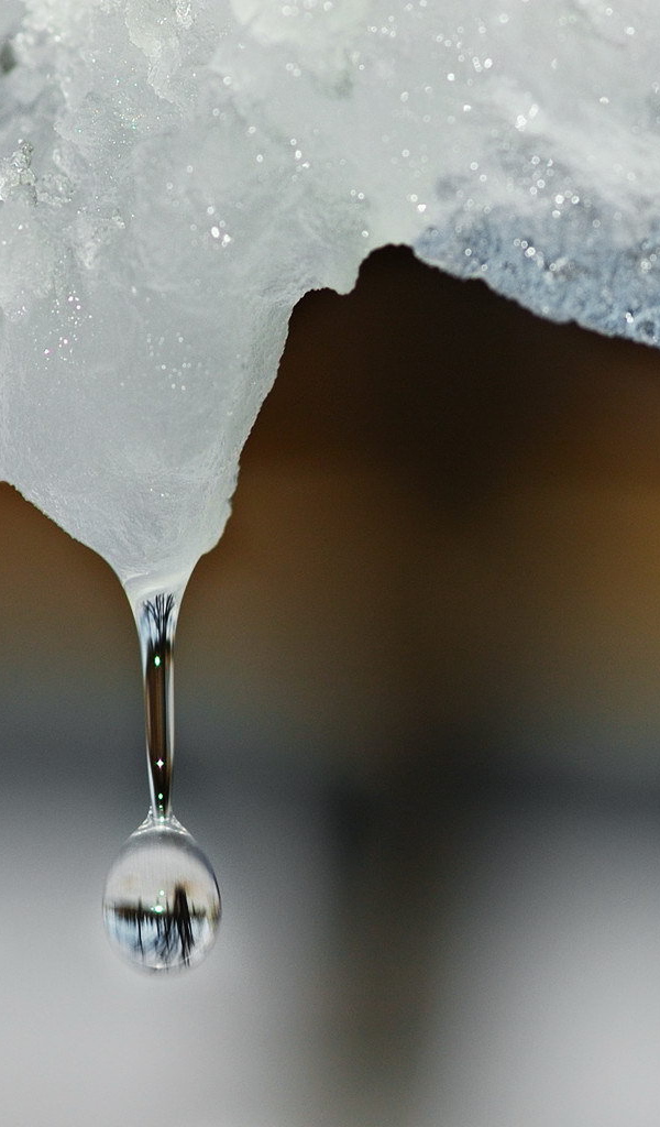 Капля воды падает с льдины