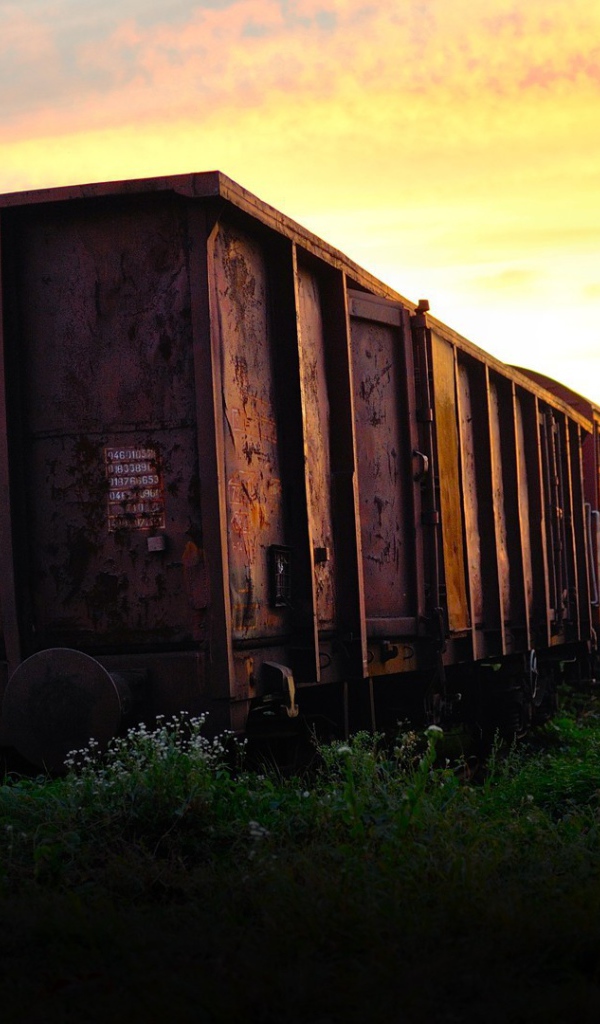 Заброшенная железнодорожная ветка