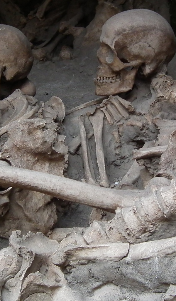 Археологические раскопки древнего захоронения