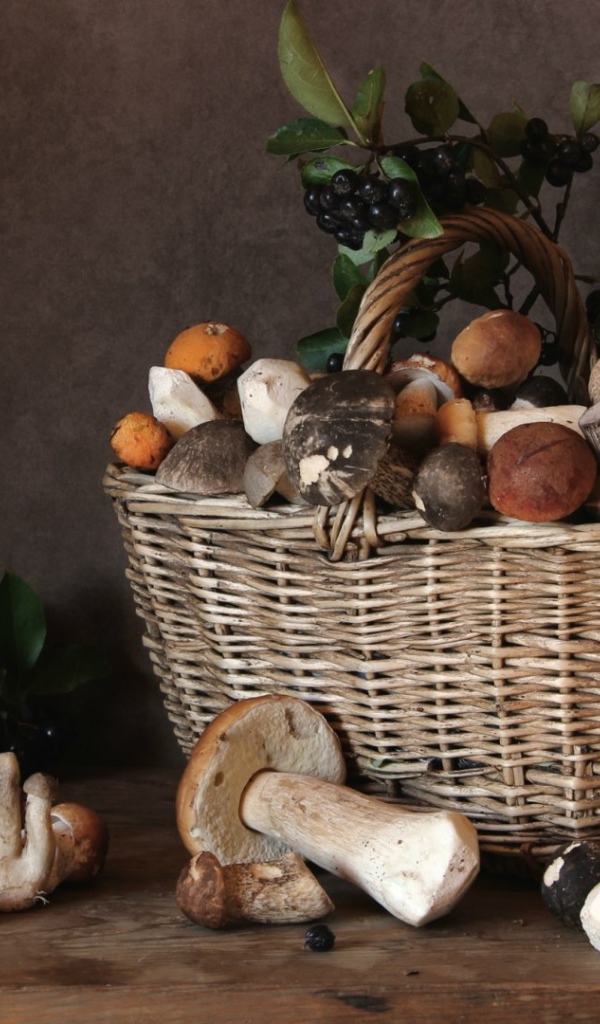 Корзина с плодами осени