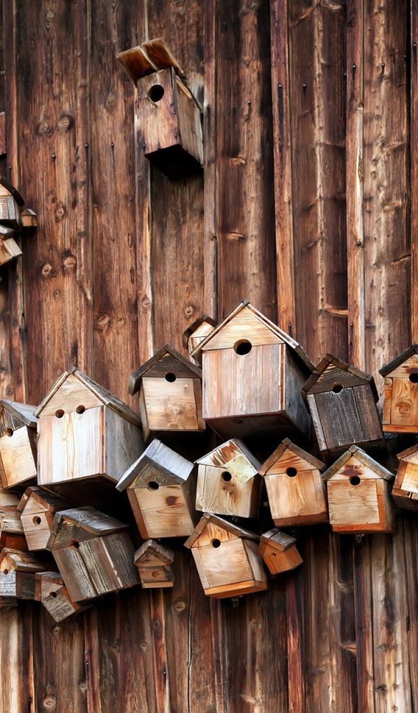 Скворечники на деревянной стене