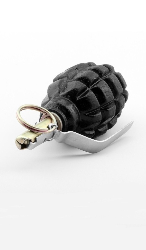 Черная граната на белом фоне