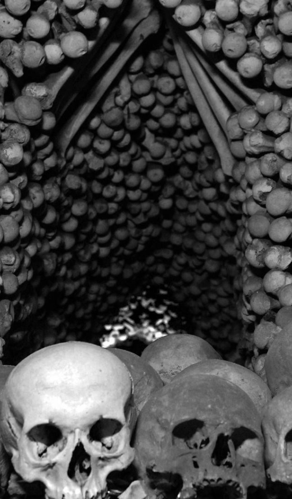 Кости и черепа в склепе