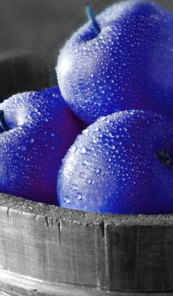 Ведро с синими яблоками