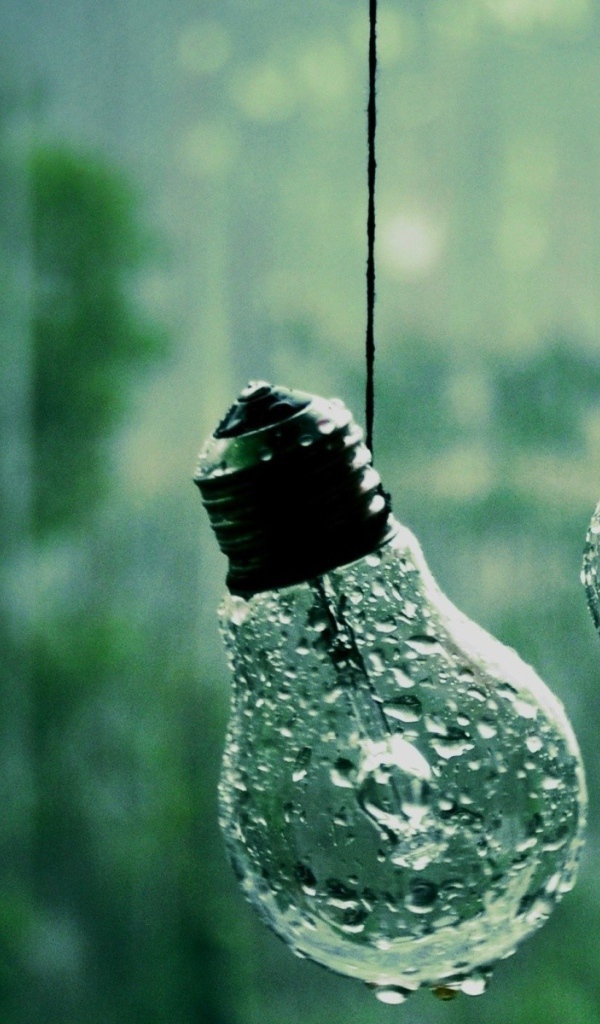 Лампочки висят на веревках под дождем