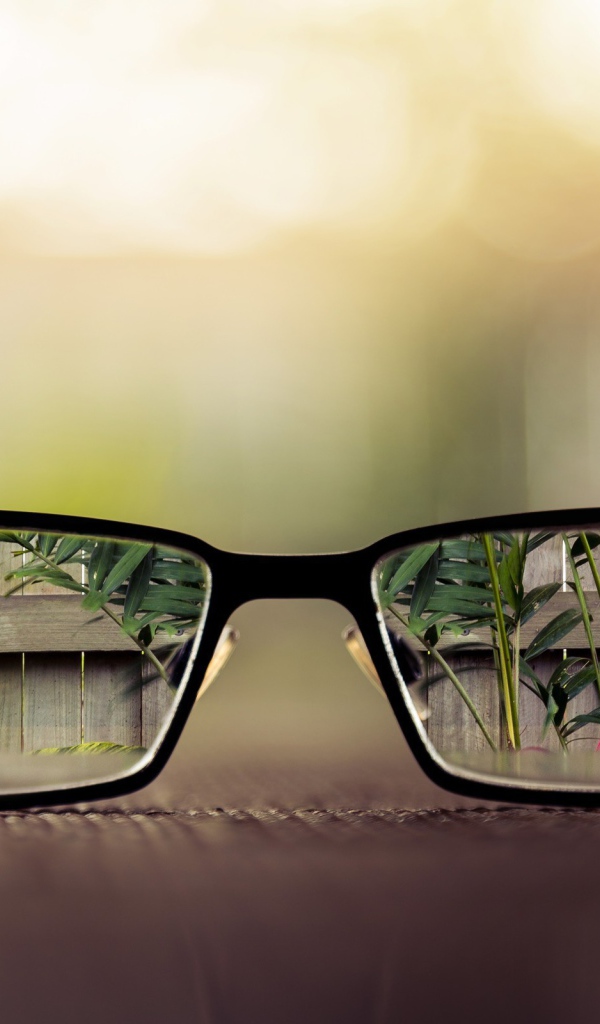 Чистый взгляд сквозь очки