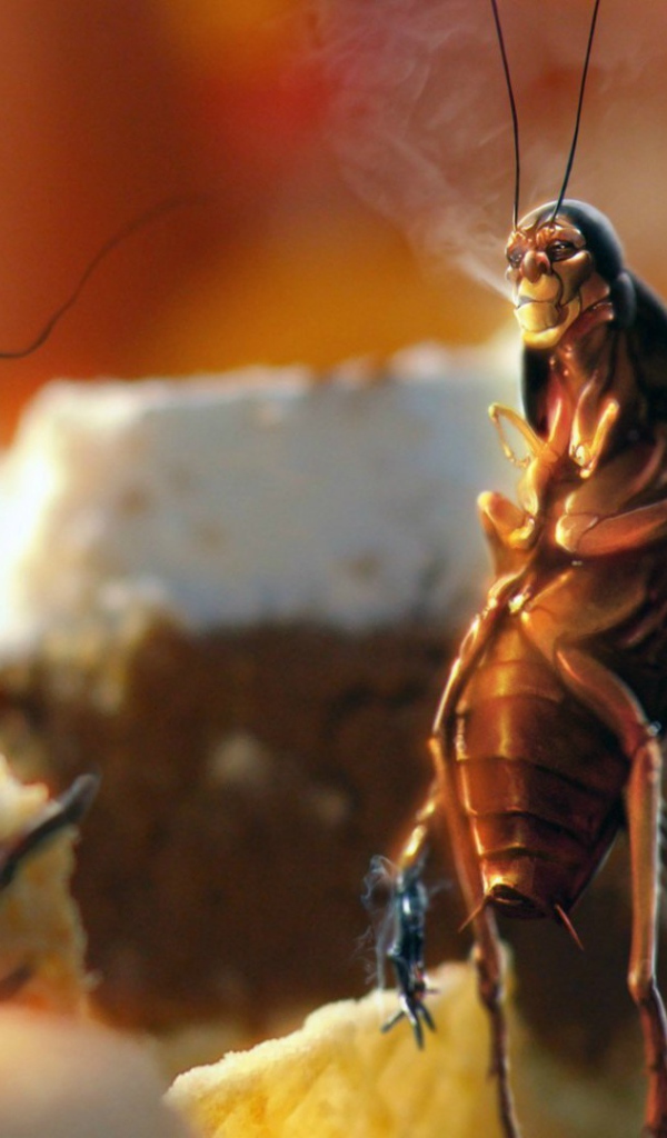 Тараканы рабы вредной привычки