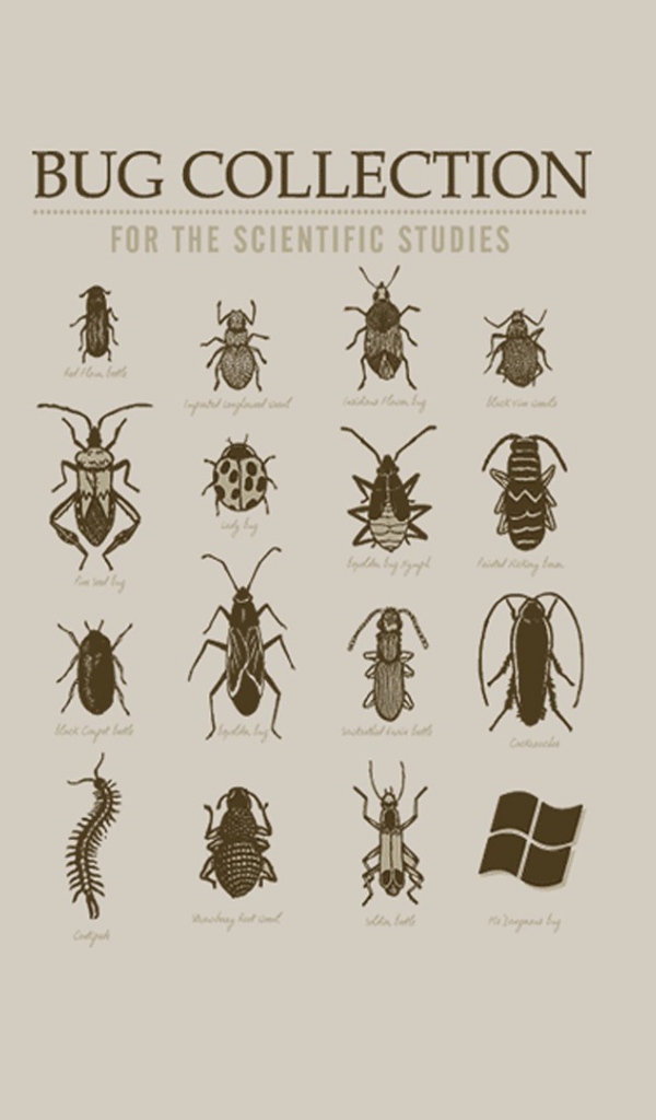 Коллекция неизвестных жуков