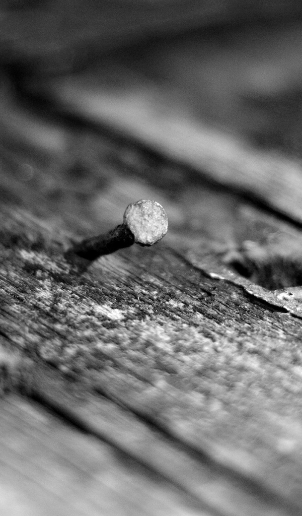 Кривой гвоздь в дереве