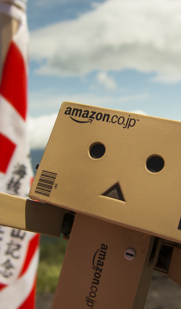 Дандо на фоне японского флага