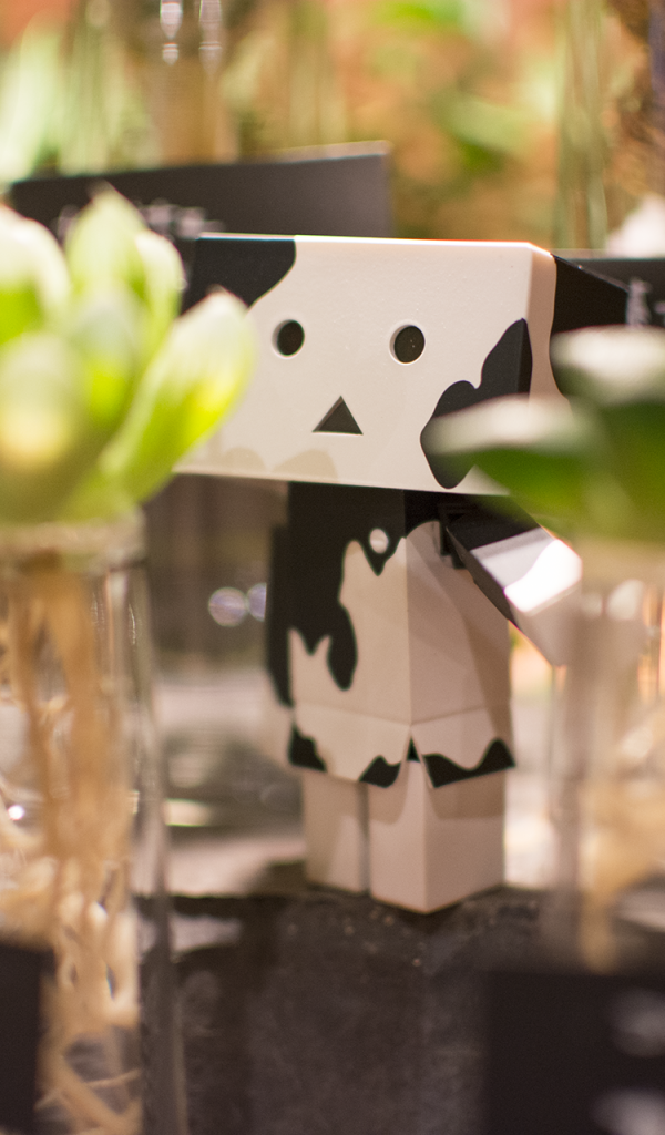 Дандо в маскировке