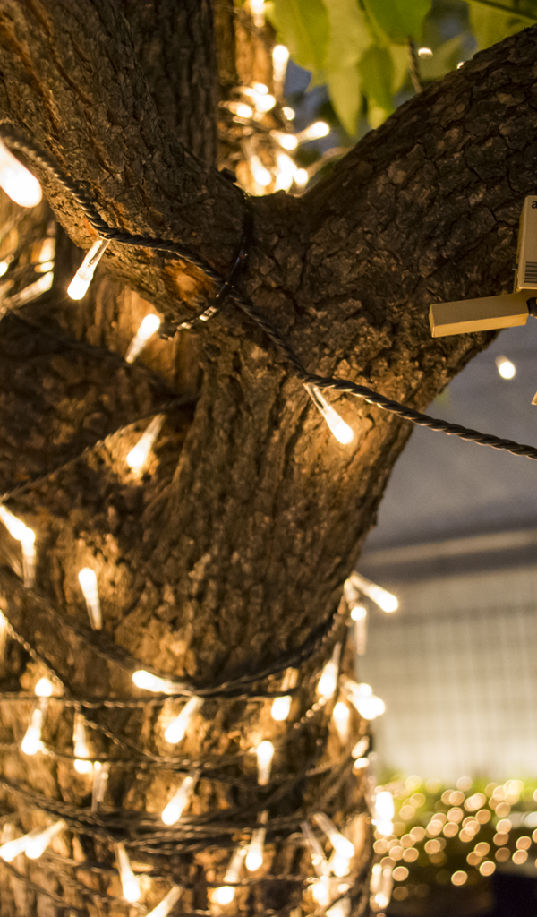 Дандо на гирлянде