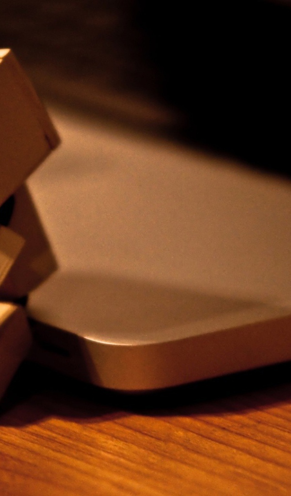 Дандо на краю ноутбука