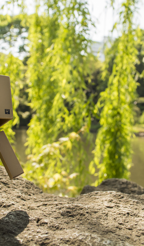 Дандо на земле в саду