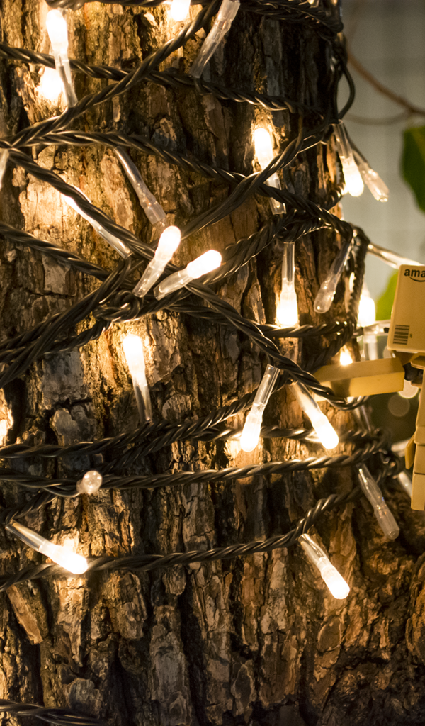 Дандо на дереве