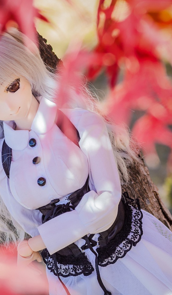 Кукла среди осенней листвы