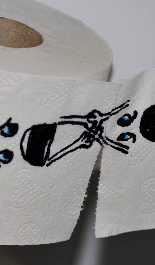 Рисунок на туалетной бумаге