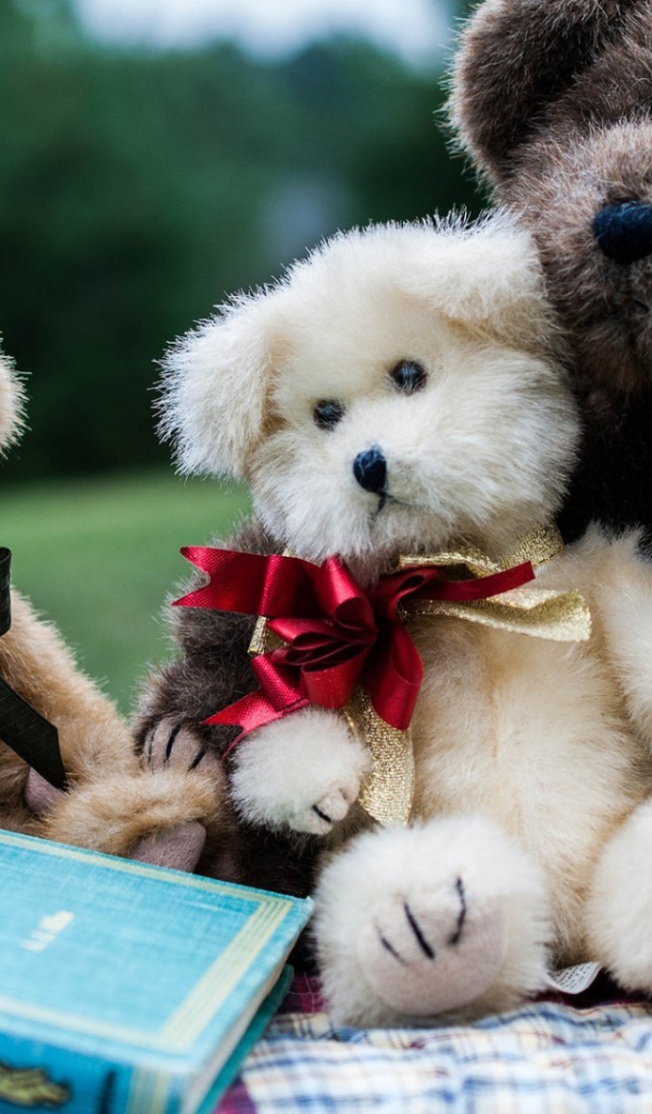 Семейство плюшевых медведей с книгой