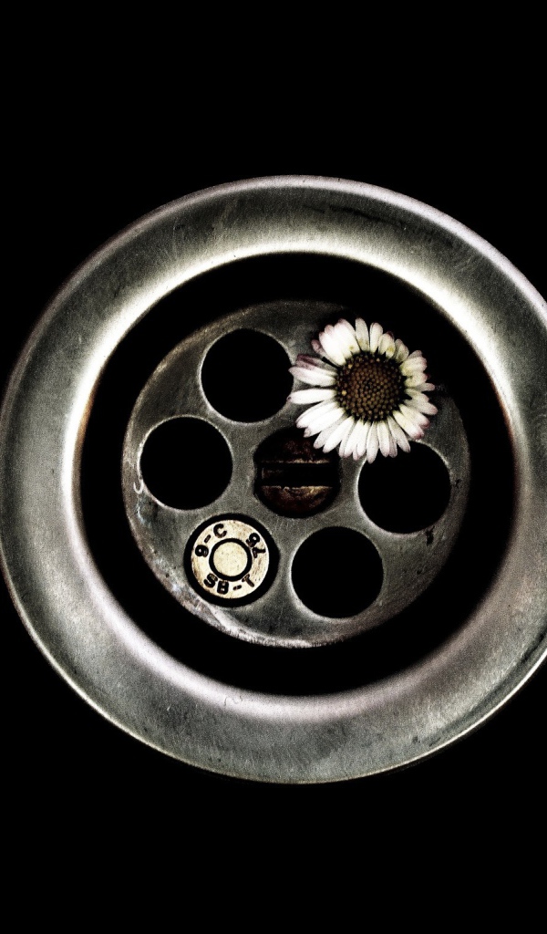 Цветок вместо пули в револьвере