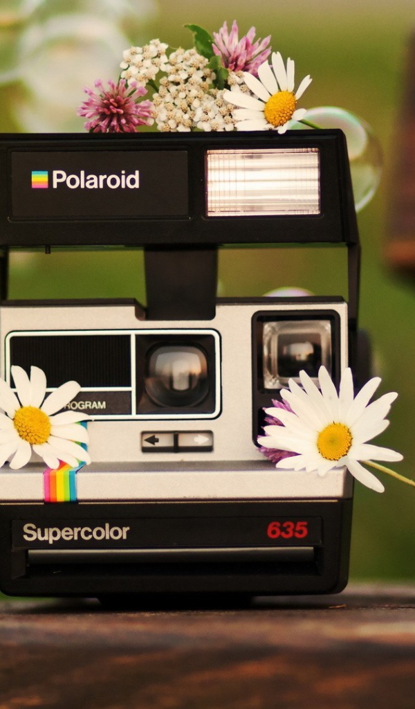 Цветы на фотоаппарате Полароид