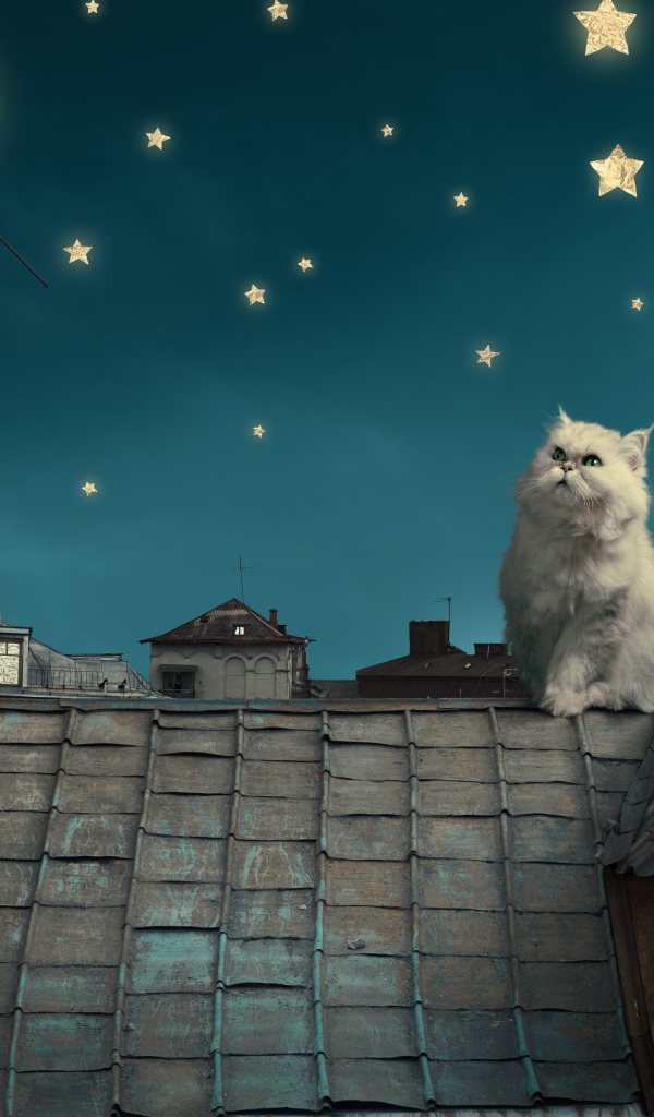 Пушистый кот на декорациях