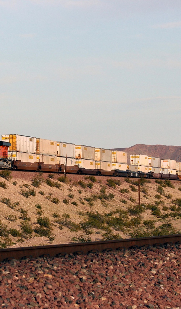 Грузовой поезд перевозит контейнеры