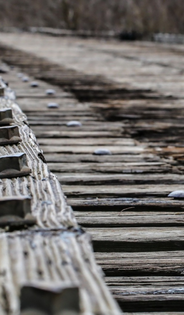 Железные болты креплений деревянного моста