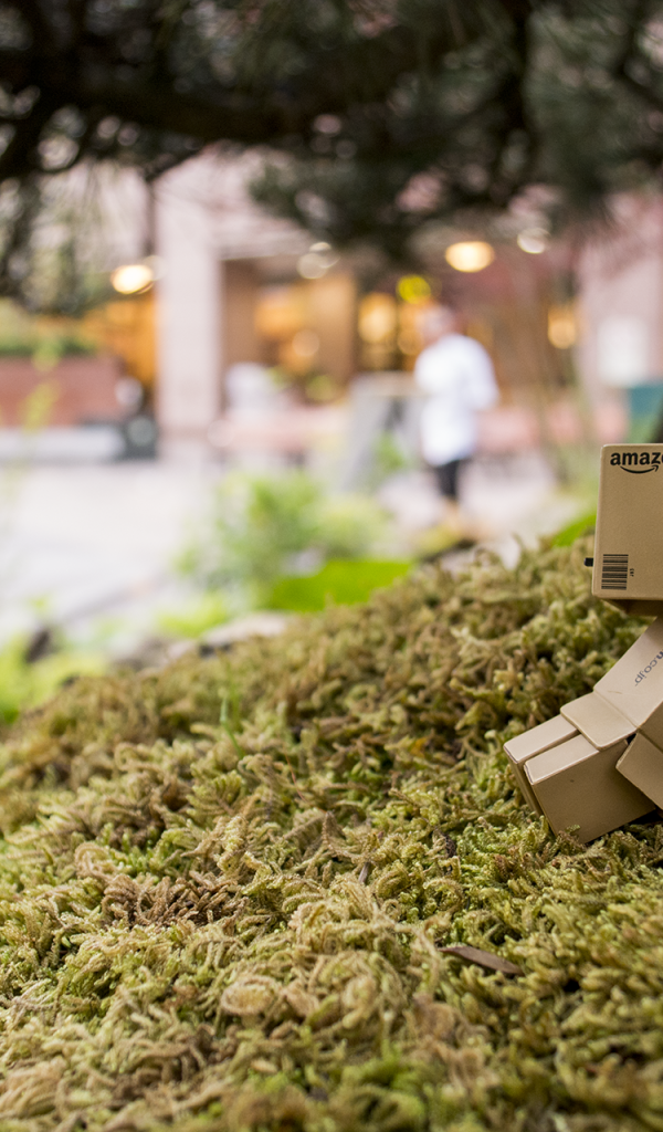 Японский Дандо на мху