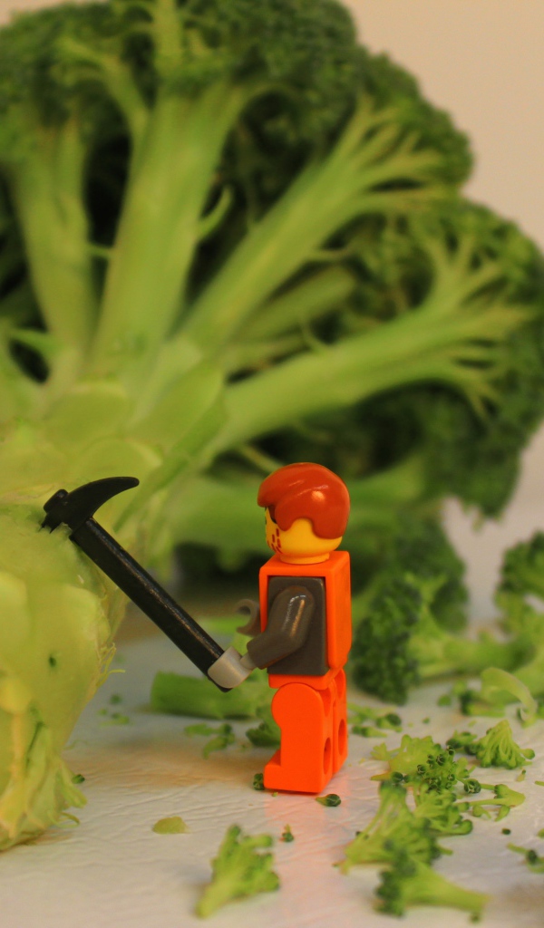 ЛЕГО против брокколи