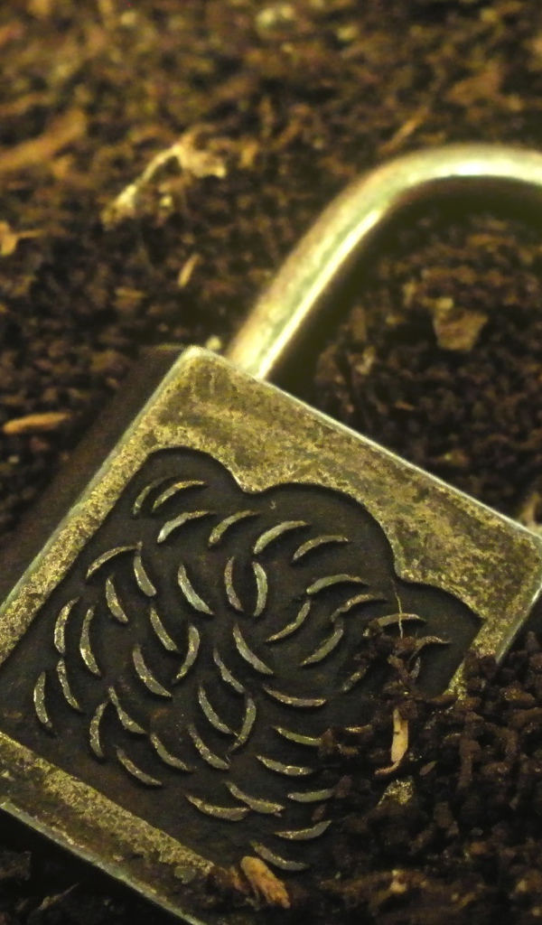 Замок лежит в земле