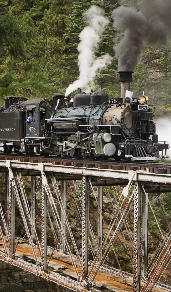 Паровоз зашел на мост