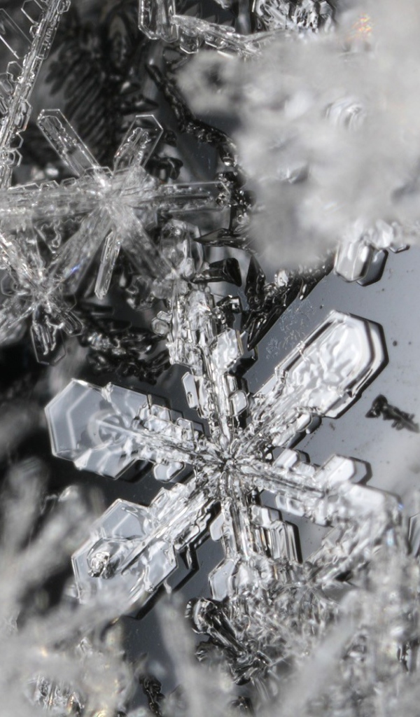Макро фото снежинок