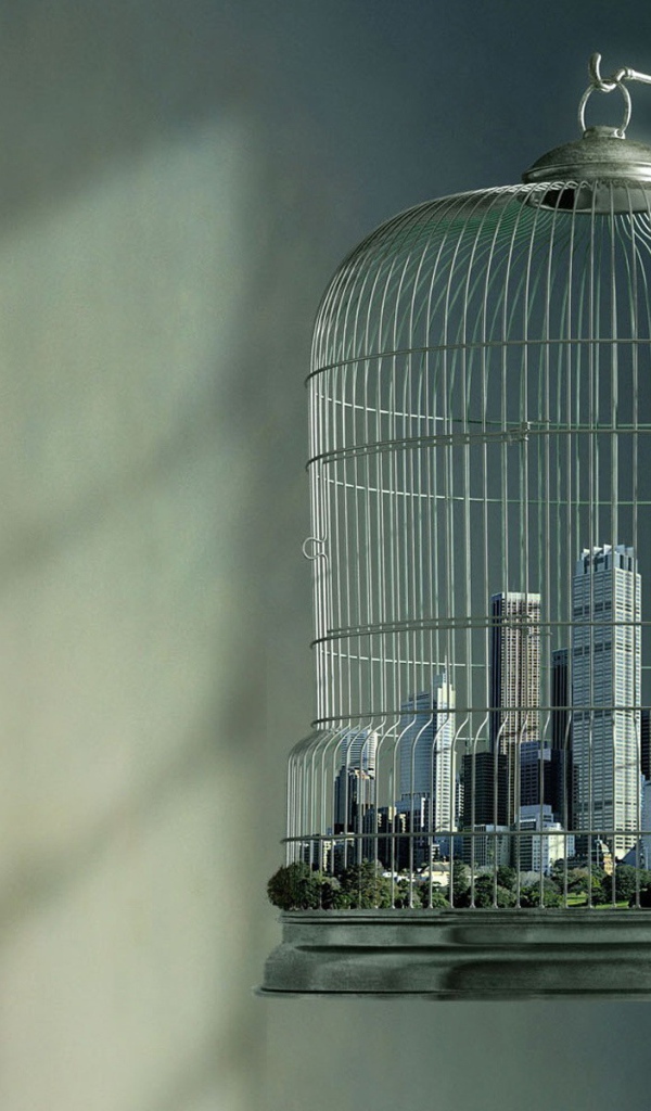 Мегаполис в птичьей клетке