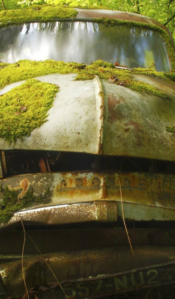 Покрытый мхом корпус автомобиля