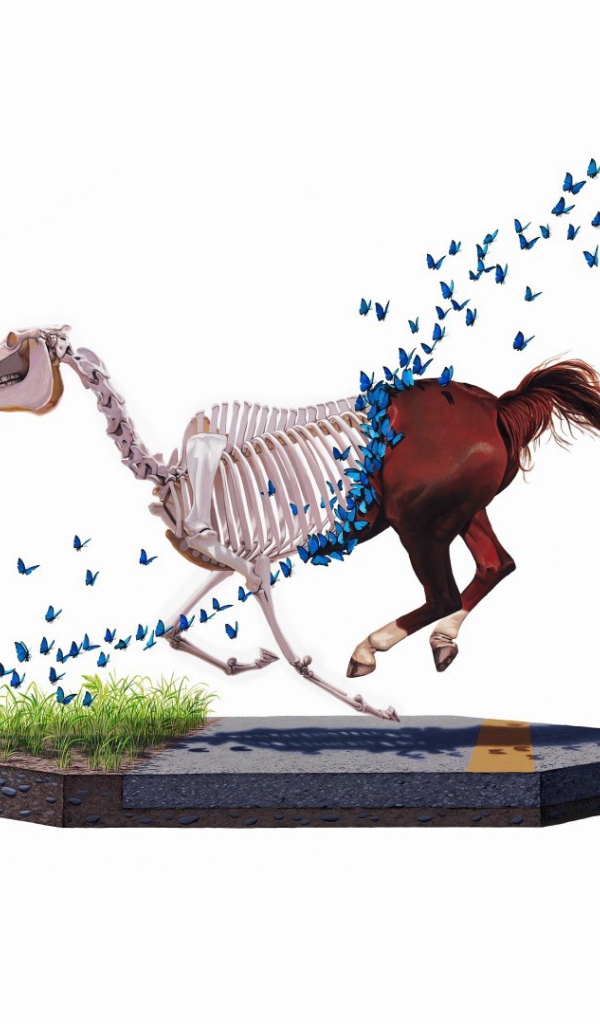 Бабочки съели лошадь