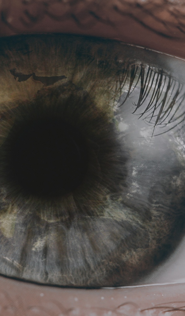 Открытый глаз человека